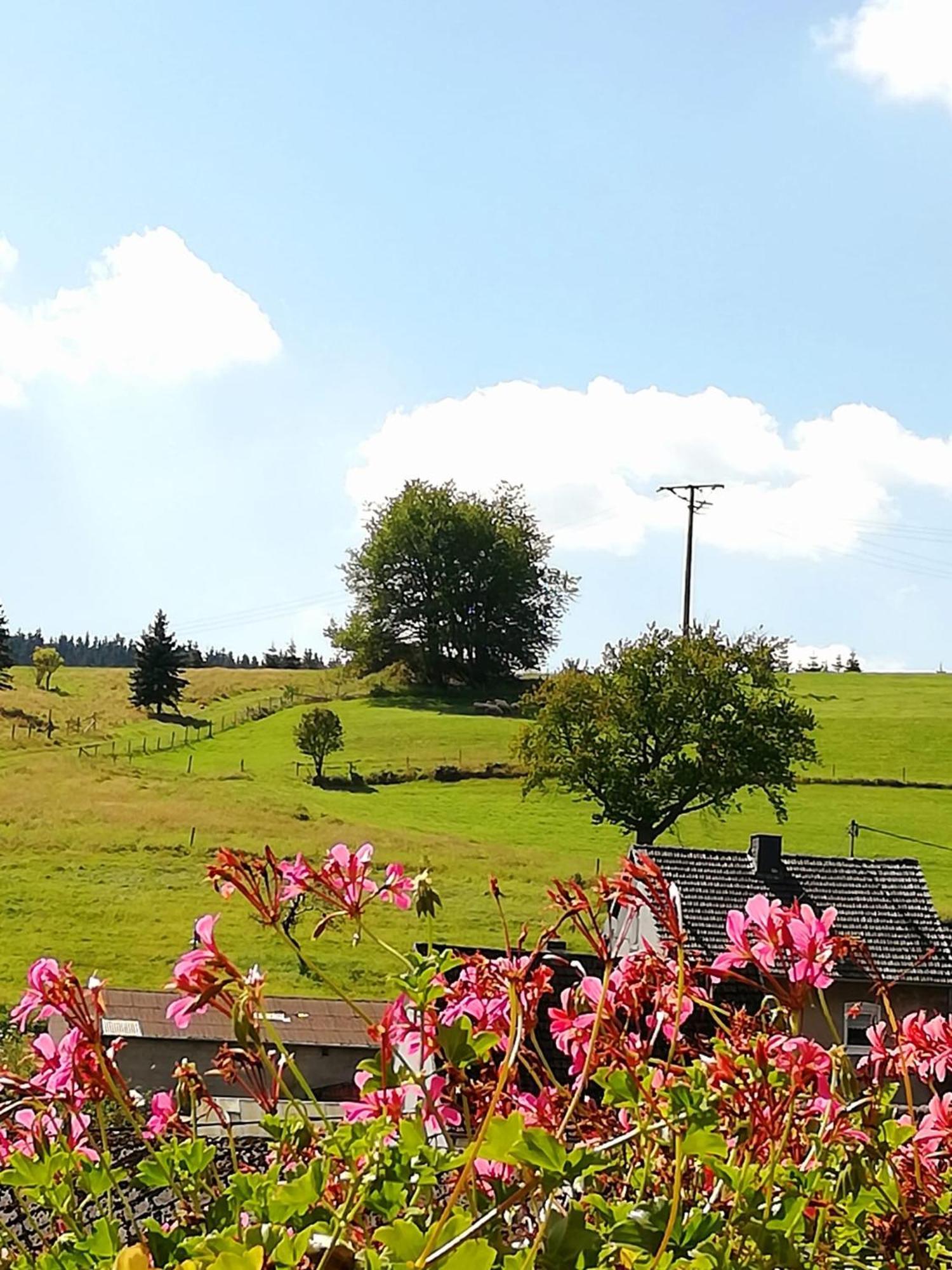 Am Lindenbaum, Ferienwohnung In Siebenbach Am Nuerburgring المظهر الخارجي الصورة