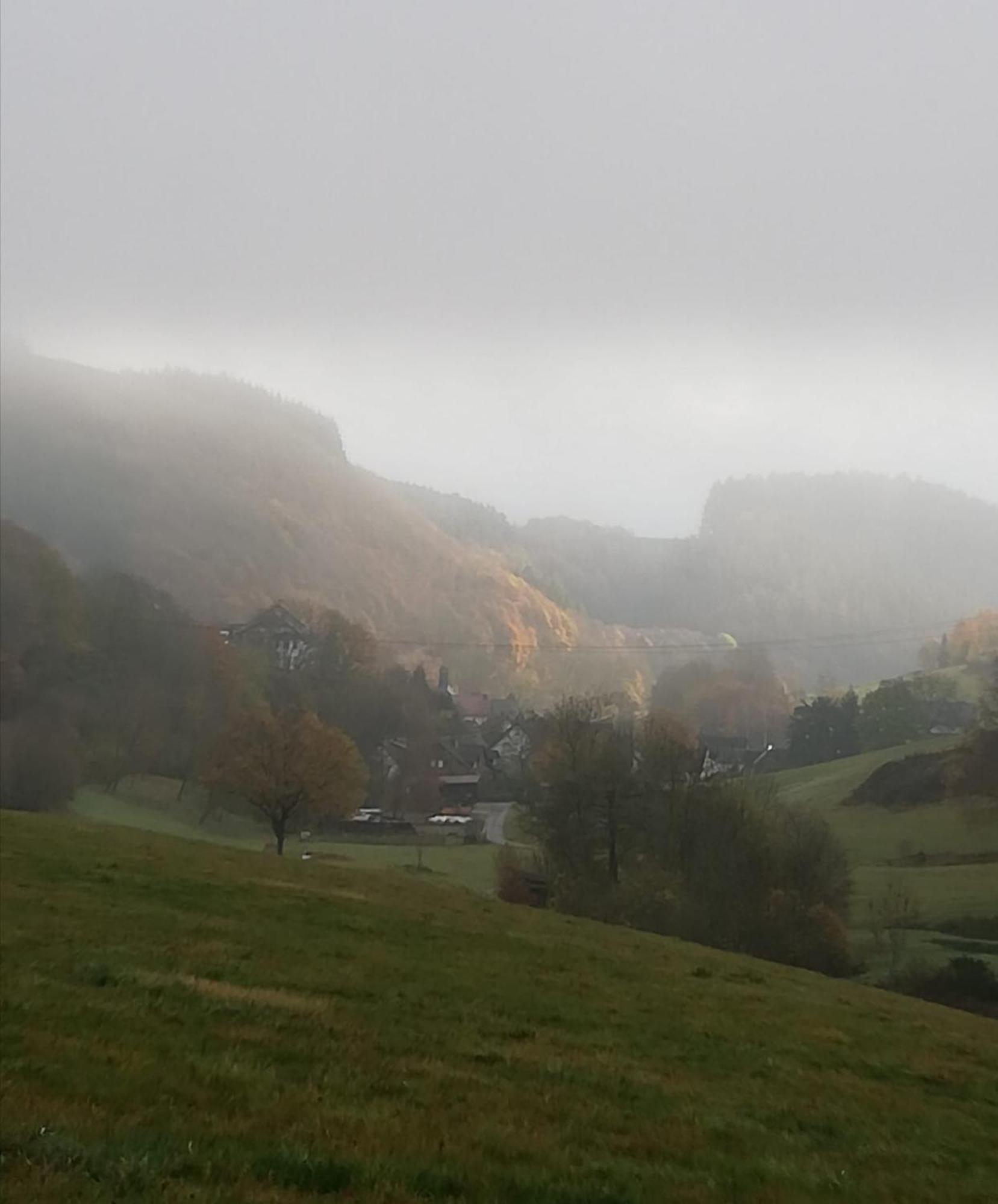 Am Lindenbaum, Ferienwohnung In Siebenbach Am Nuerburgring المظهر الخارجي الصورة